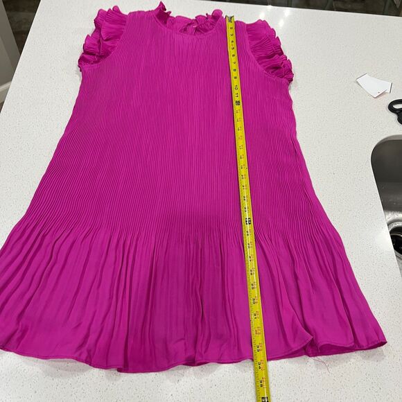 The Impeccable Pig Pink Ruffle Sleeve Pleated Dress Size Large - Picture 8 of 12